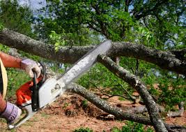 Best Weed Control  in Thompsonville, PA